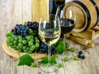 Wine Tourism-Mendoza, Rivers of Wine in Argentina Wine Tourism-Mendoza, Rivers of Wine in Argentina