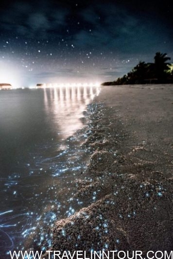 sea of stars in maldives
