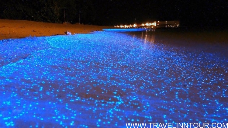 sea of stars maldives real
