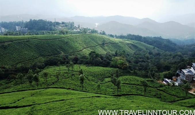Top 10 Tourist Places In Kerala To Visit During Summer