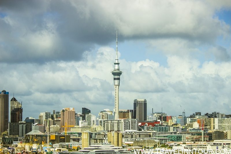 Best Cities to Live in New Zealand With Your Family