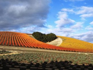 Paso Robles, California - A Great Romantic Getaway Paso Robles -Heart Hill