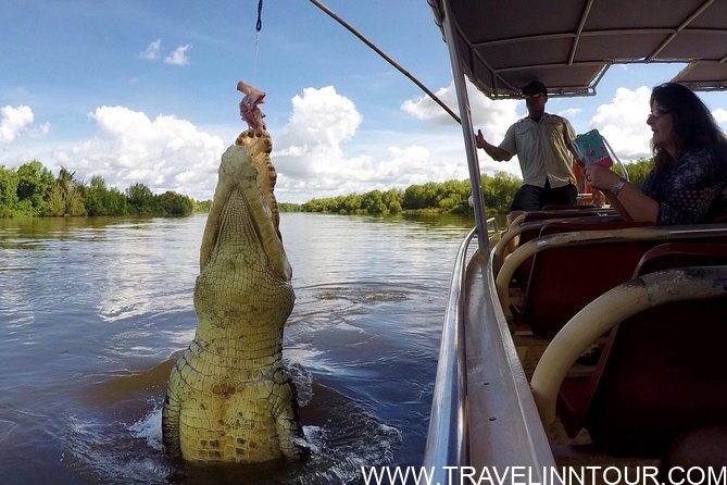 Jumping Crocodile Cruise Tour Places To Visit in Darwin Australia