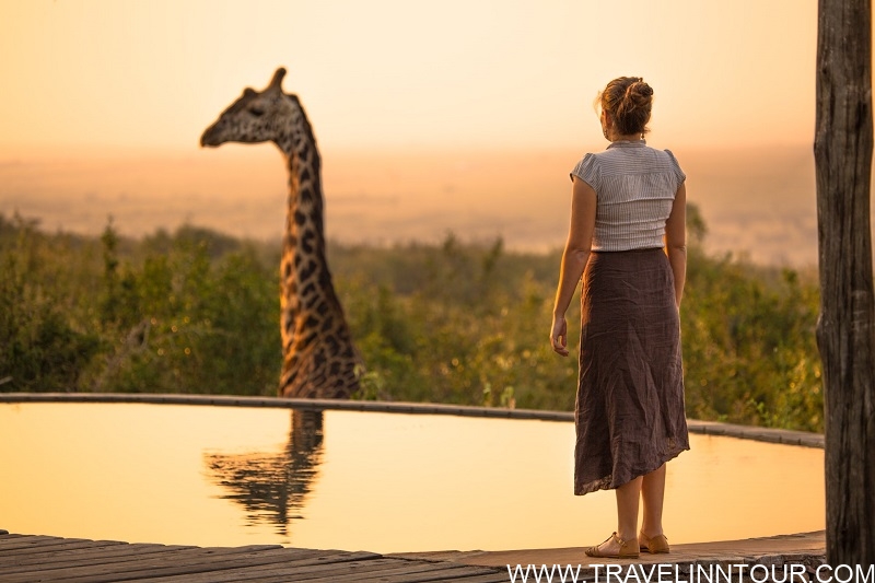 Best Countries for Safari Adventures Photo taken at Mara Bushtops in Masai Mara Kenya.